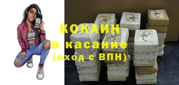 ПСИЛОЦИБИНОВЫЕ ГРИБЫ Гусев
