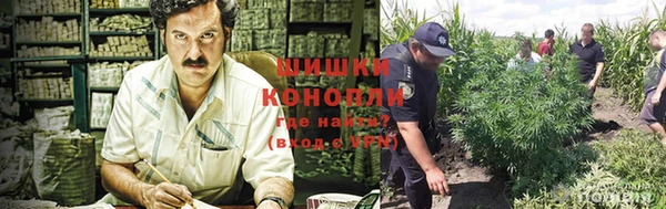 шишки Липки