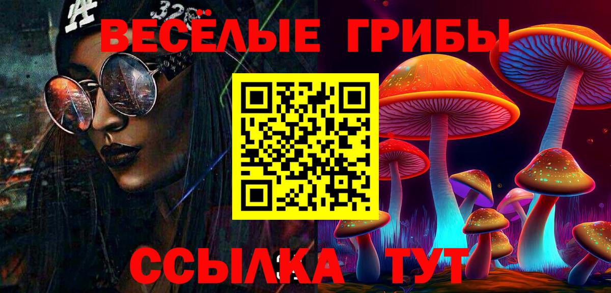 Ефремов  Псилоцибиновые грибы ЛСД  цены   Псилоцибиновые грибы Psilocybine cubensis  Вход с VPN 