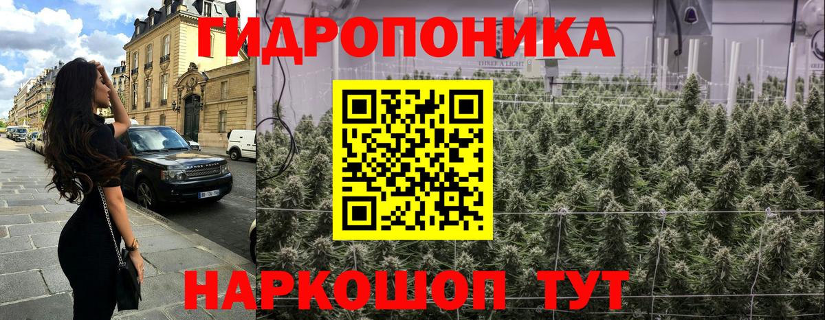 Ефремов  Бошки марихуана тримм  Каннабис VHQ  Вход с VPN  Шишки марихуана индика 